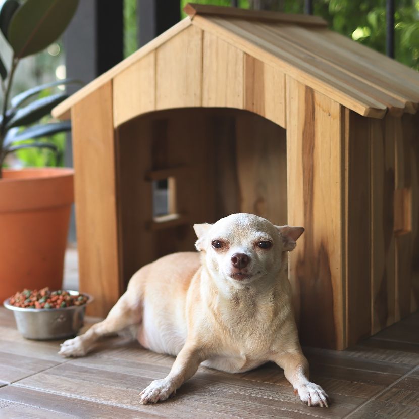 Cama exterior para cães Cama exterior para cães